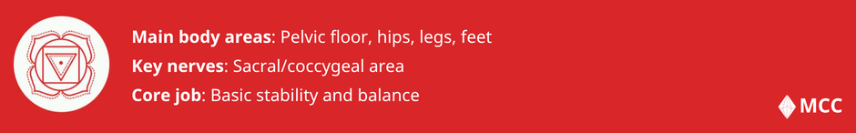 Root chakra facts